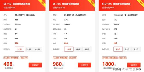 小鳥云裸金屬物理服務(wù)器0元拼團(tuán)活動 限量搶購，開啟高效終端租賃新體驗(yàn)